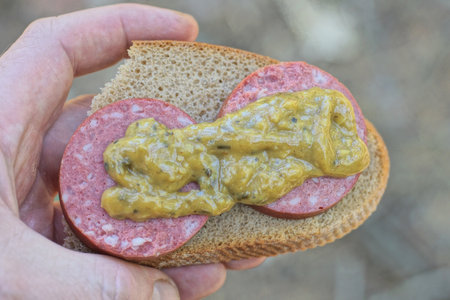 a hand holds a piece of brown bread sandwich with red sausage under green mustard sauce on a gray backgroundの写真素材