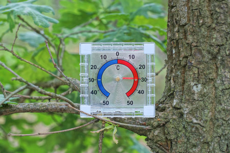 one white plastic square thermometer stands on a gray branch of an oak tree with green leaves outdoors in natureの写真素材