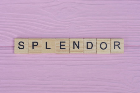 word splendor from small gray wooden letters lies on a pink backgroundの写真素材
