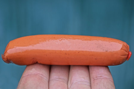 food from one red raw sausage lies in the palm of your hand on a green backgroundの写真素材