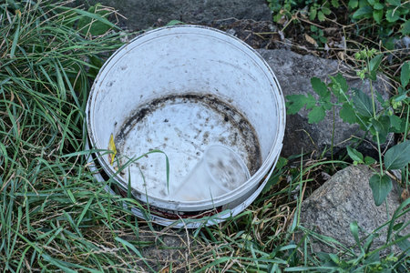 one white plastic dirty bucket stands in green grass and vegetation in nature