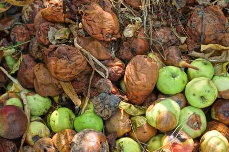 a pile of garbage from green and brown rotten apples on the street
