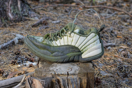 one dirty old leather white black sneaker stands on a gray stump in the summer forestの写真素材
