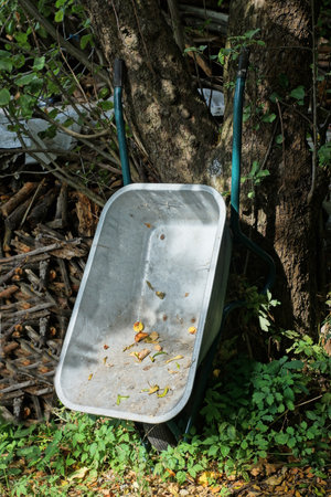 one empty gray metal wheelbarrow stands near a tree in green grass on the streetの写真素材