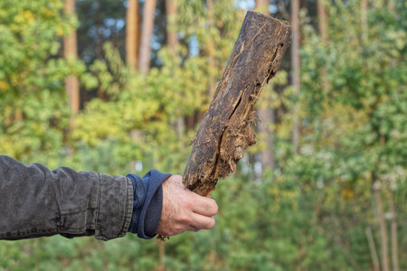 a man's hand holds a brown wooden stick baton on the street against a background of green vegetation