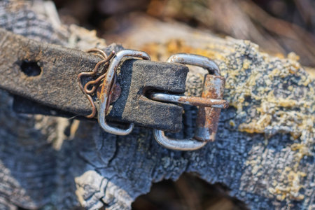 one black leather harness from a bag with a gray rusty metal latch lies in the wood tableの写真素材