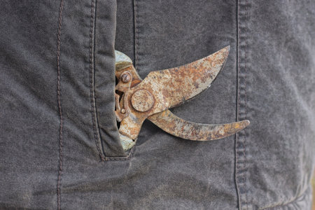 one old brown rusty iron pruner lies in a gray jacket pocket on the street