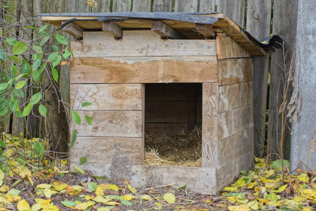 one large wooden empty gray brown dog house stands on the ground near the fence wall on the streetの写真素材