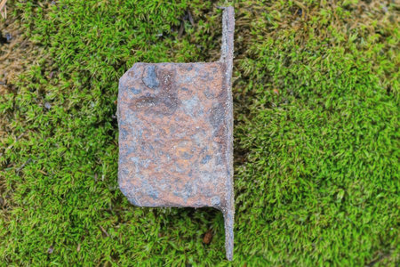 one old iron brown rusty mortise lock lies on green moss on the street