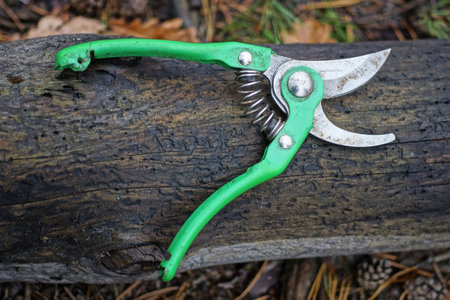 one gray green metal pruner lies on a wooden log on the street