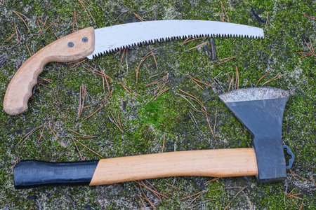 a set of hacksaw, lopper and ax lie on the ground and green moss on the streetの写真素材