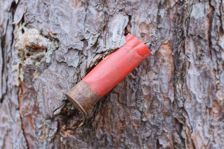 one old red plastic hunting case with a rusty capsule lies on a brown bark