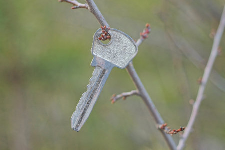 one old gray small metal door key hanging on a thin tree branch on the streetの写真素材