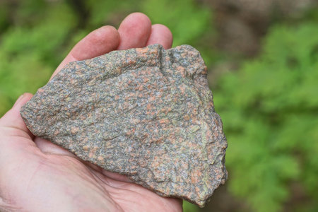 a man hand holds a brown gray piece of stone on a summer street