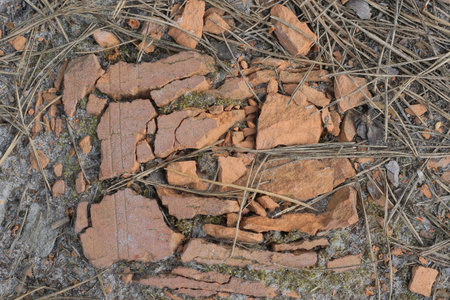one red brown old broken brick lies in the brown earth on the street