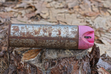Old and rusty paint sprayer on a stump in the forest.