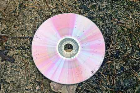 Close-up of a compact disc on the ground in the forestの写真素材