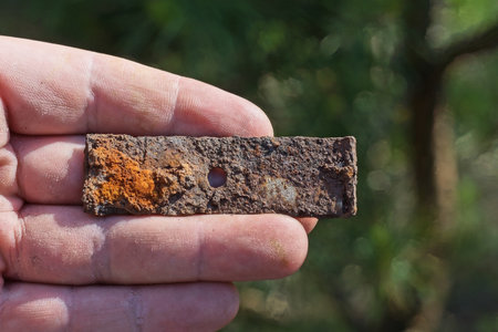one brown iron small rusty plate lies on the palm of a hand on a green backgroundの写真素材