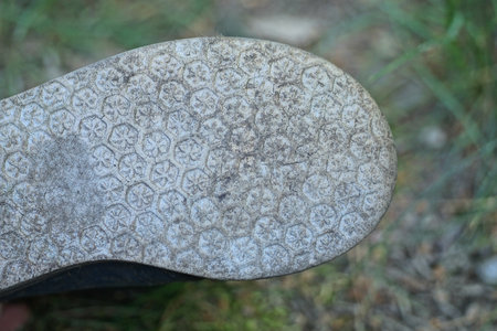 Detail of an old shoe on a background of green grass.の写真素材