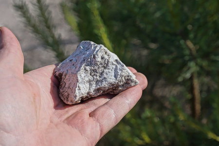 Stone in the hand of a man against the background of green plants