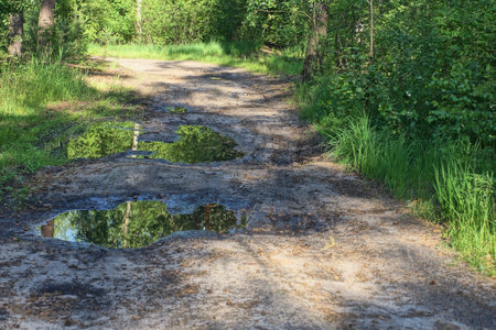 puddles of dirty water on the gray earth of a rural road near green grass in natureの写真素材
