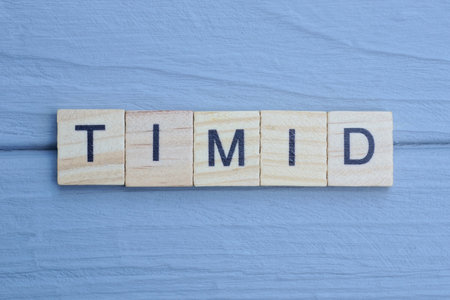 text the word timid from wooden small letters with black font on an gray tableの写真素材