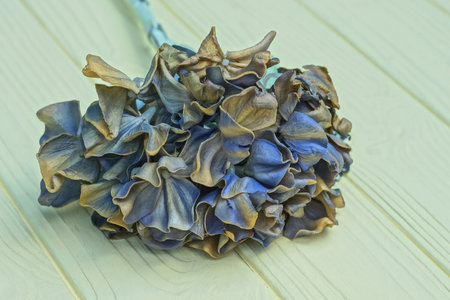 artificial colorful gray brown flower lies on yellow wooden tableの写真素材