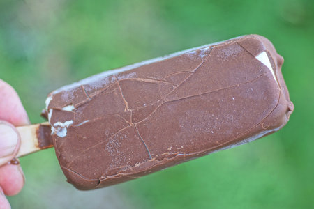 a hand holds one brown chocolate ice cream on a background of green vegetation on a summer street