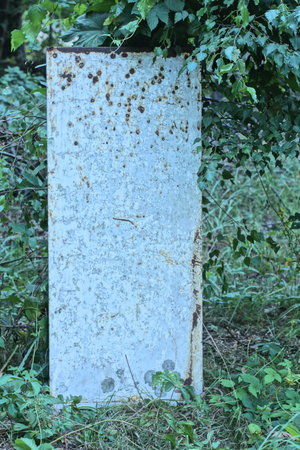 one white dirty rectangular rusty old refrigerator door stands in green grass and vegetation outsideの写真素材