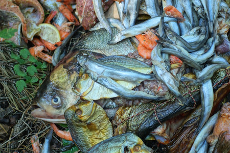 a pile of different fish and shrimps lie on the ground