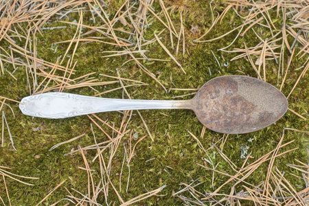 one old gray dirty metal spoon lies on green moss in natureの写真素材
