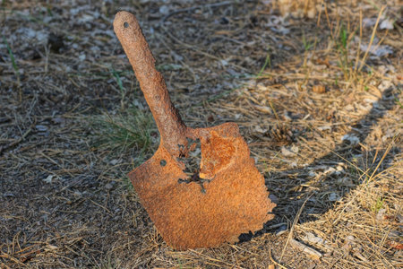 one old small brown rusty iron shovel in the gray earth on the summer streetの写真素材