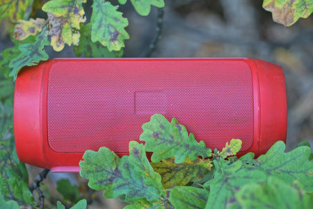 Red speaker on the ground in the autumn forest, closeup of photoの写真素材
