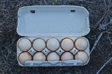 open gray paper packaging box with brown eggs stands on the ground