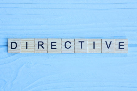 DIRECTIVE word made with wood building blocks, business concept.の写真素材