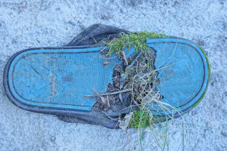 one old torn slipper with a hole in the blue sole lies on the gray sandの写真素材