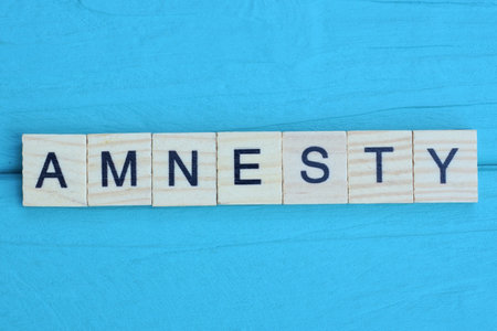 word directive made from wooden gray letters lies on a blue background