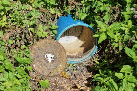 one blue dirty plastic bucket and a gray metal lid lie in green grass and vegetation outside