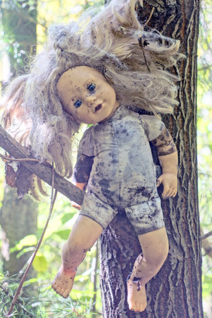 Abandoned doll on tree in the forest. Selective focus.の写真素材