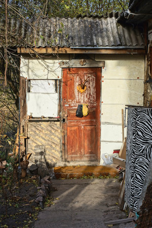 one old closed brown wooden door on white wall of rural house on summer streetの写真素材