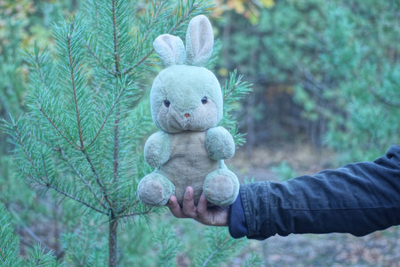 Hand holding a toy bunny in the forest, soft focus background.の写真素材
