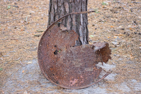 Abandoned old rusty metal plate on the ground in the forestの写真素材