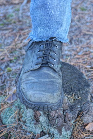 Close-up of a man's feet in old shoes on a tree stump