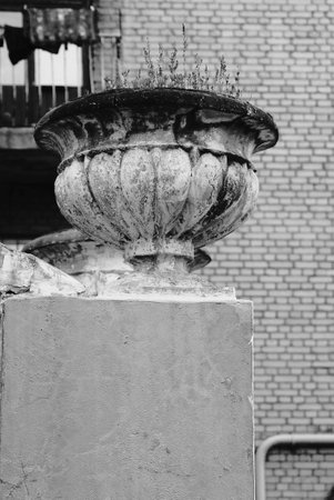 one big concrete white black flowerpot stands on a gray stone wall on a city streetの写真素材