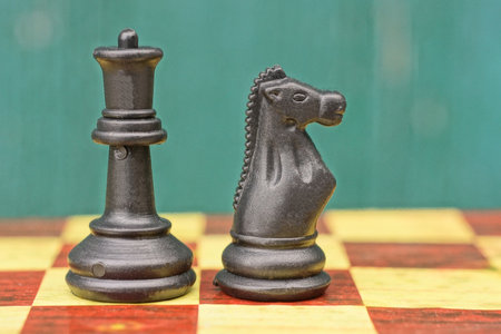 set of two black chess pieces knight and queen standing on chessboard on green background