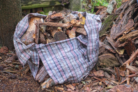 one big old torn checked bag with holes full of brown firewood stands on the ground on the autumn streetの写真素材