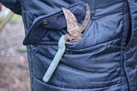 one old brown rusty iron pruner lies in a black pocket and jacket of a worker on the streetの写真素材