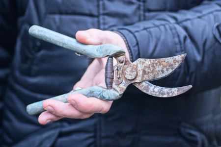 hand of a gardener worker holding an old one gray rusty pruner against the background of black clothesの写真素材