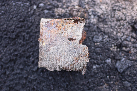 one piece gray brown metal old tin can lies on black ash and ground on summer streetの写真素材