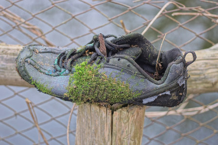 one old torn black leather sneaker in green moss stands on a gray wooden pole on an autumn street